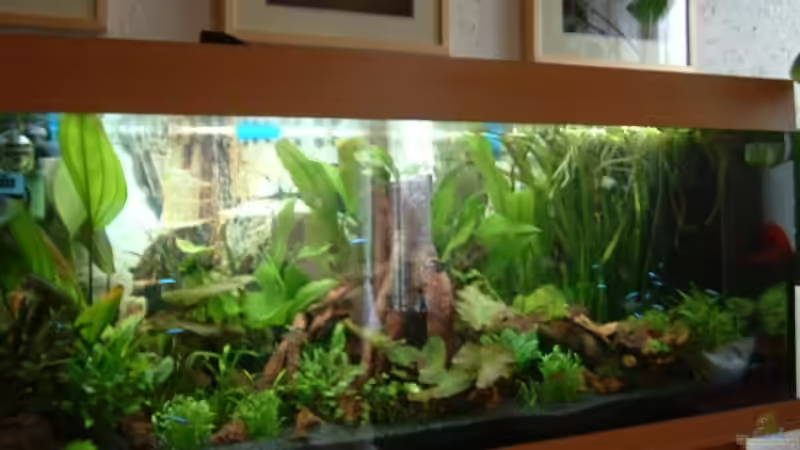 nach 14 Tagen von Thomas Fehlberg (2)