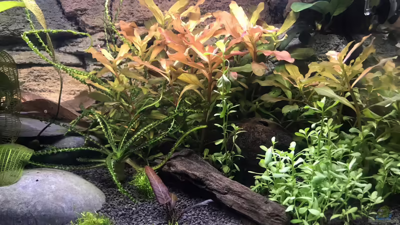 nach 14 Tagen von Tim1979 (17)