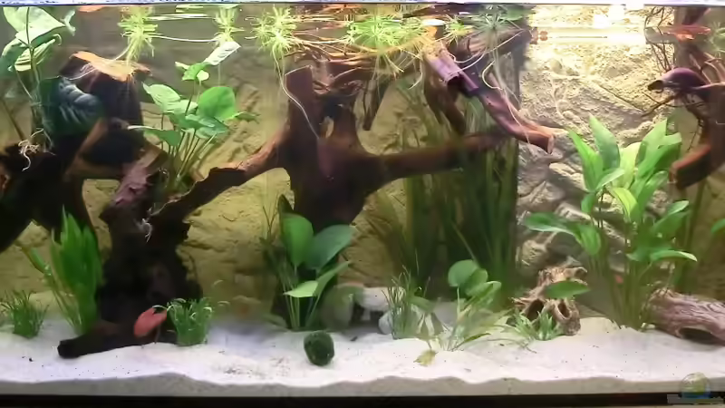 Nach 1ner Woche Einlaufphase von Steven Tumma (3)