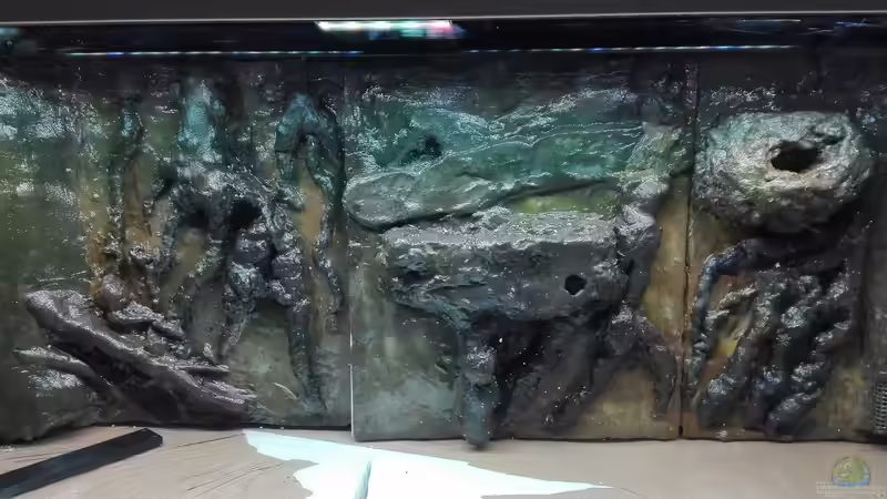 Nach 2-fachen Auftragen von Epoxidharz wurde die Geschichte dann mit transparenten Aquariumsilikon befestigt und an den Rändern abgedichtet von Lance Hardwood (48)