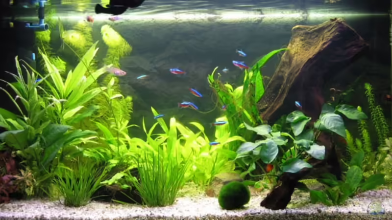 nach 2 Monaten... von Christiane Feldmann (3)