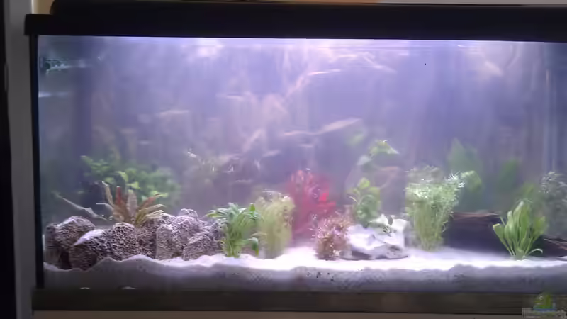 Nach 2 Stunden ;-) von Svenja Zeidler (4)