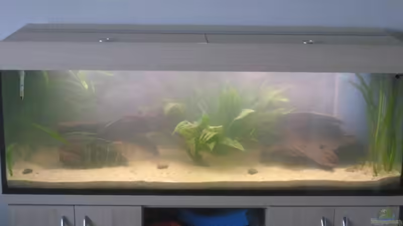 nach 2 tagen sieht es schon besser aus von Tiburón (11)