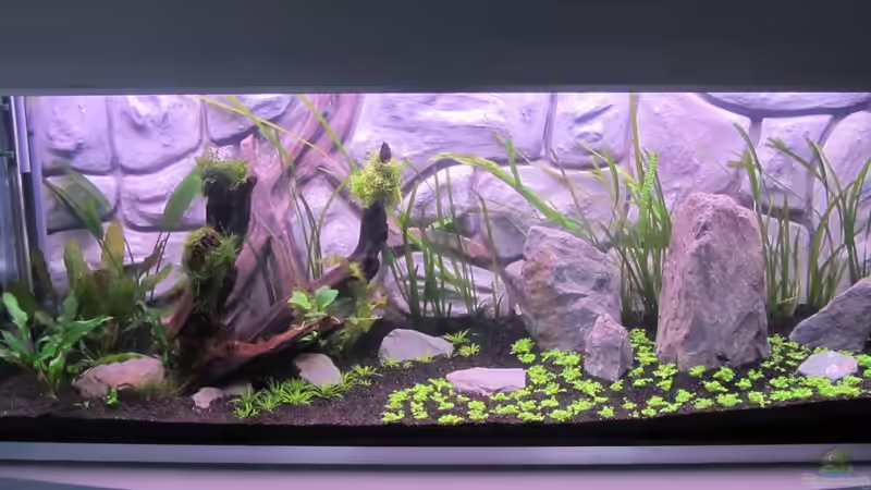 nach 2 Tagen von Ralf28 (5)