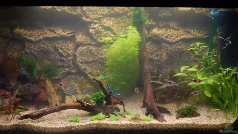 Nach 2 Tagen von Voyagerz (6)