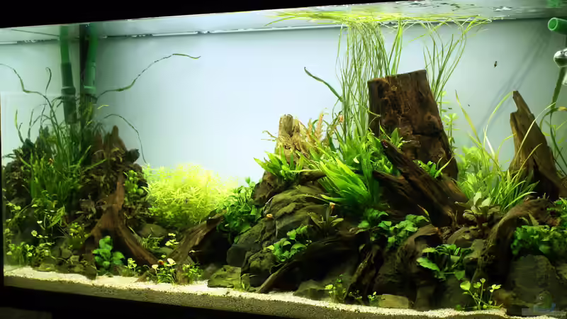 nach 2 Wochen von Micha... (5)