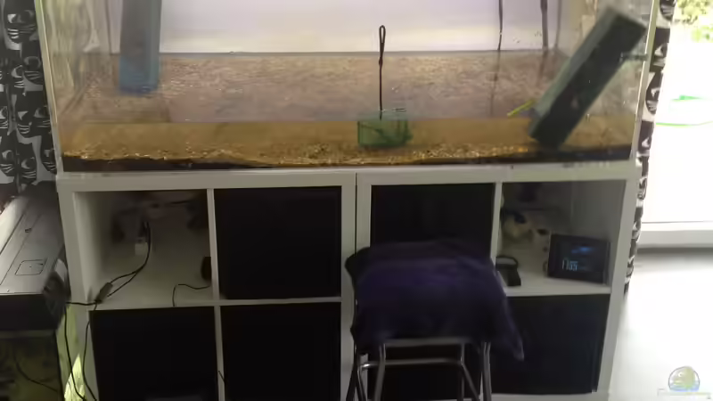 Nach 20 Monaten zum ersten Mal geleert von schmitzkatze (5)