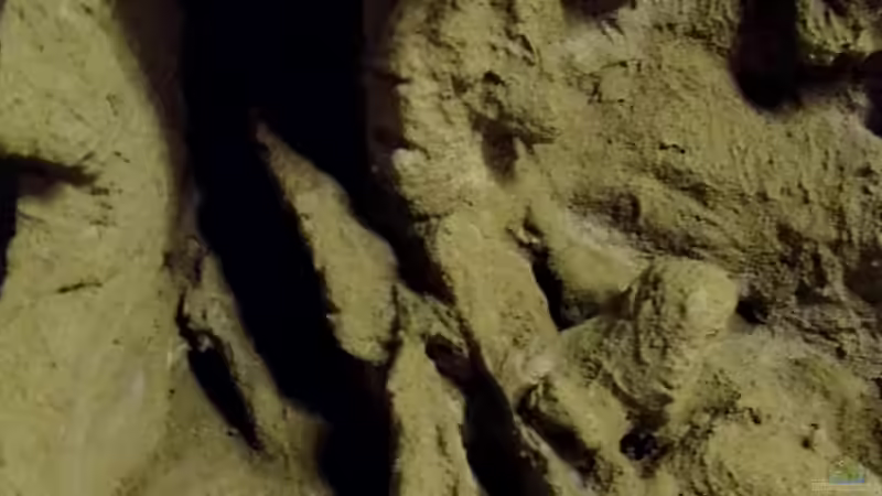 Nach 3 maligen Auftrag von Fliesenkleber von snooze (21)