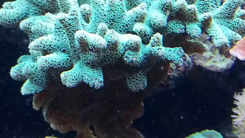 nach 3 Monaten !  25.09.2013 von urbi (52)