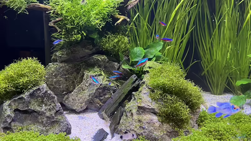 Nach 3 Monaten von Dietmar Keßl (13)