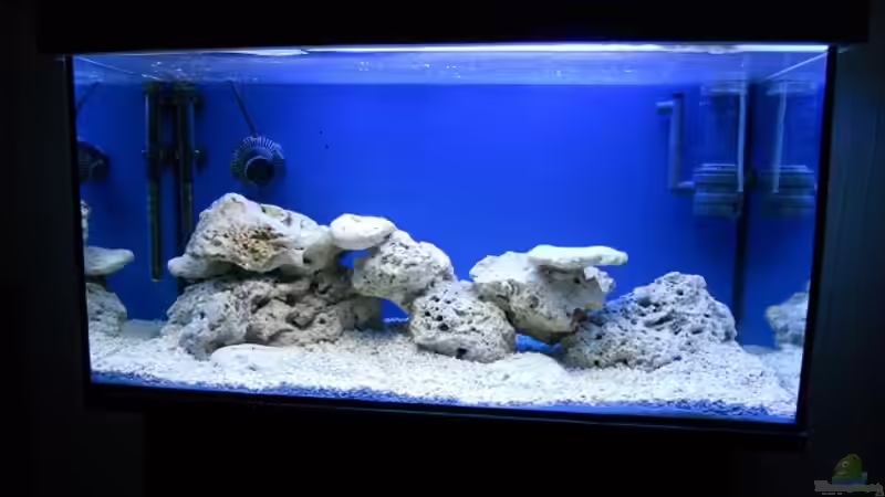 nach 3 Tagen mit Bodengrund von Dennis Rienecker (9)