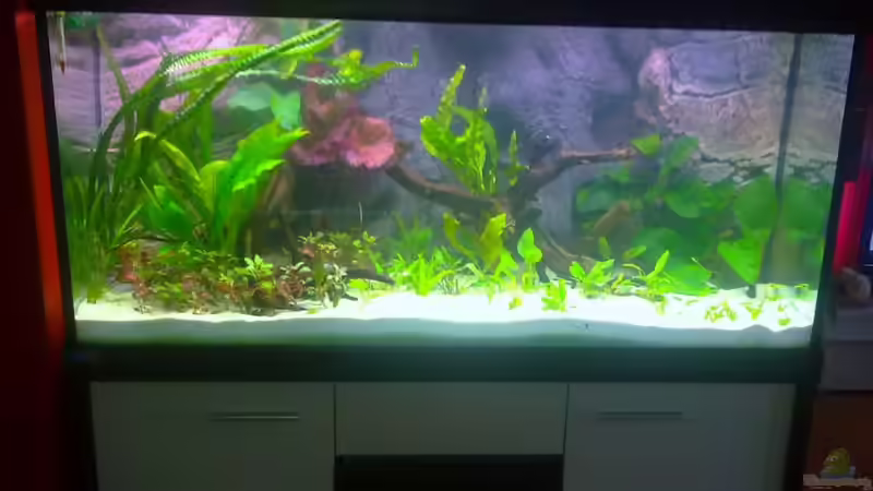 nach 3 tagen von Matze 87 (5)