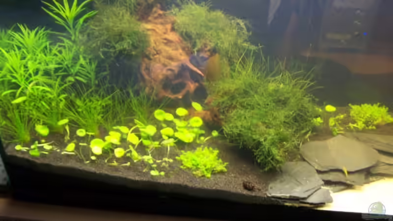 Nach 3 Wochen und immer noch gelb :) von Dani B (4)