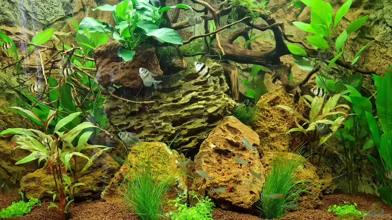 Nach 3 Wochen von FlyFunke (2)