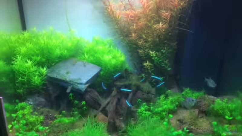 Nach 3 Wochen von markdoe (4)