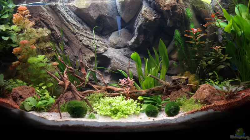 Nach 3 Wochen von Stefan Runke (9)