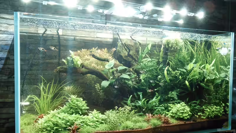 nach 4 Wochen... von El Hein (4)