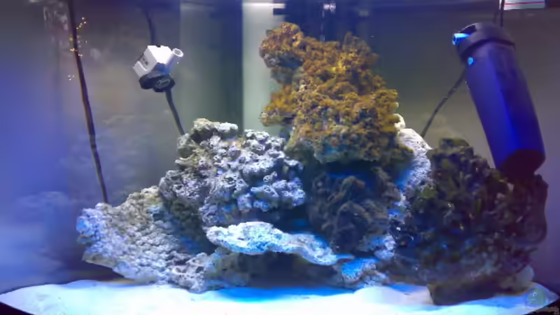 nach 4 Wochen von Marcel Fischer (4)