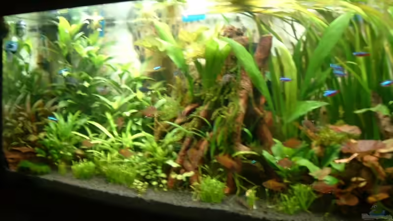 nach 41 tagen von Thomas Fehlberg (5)