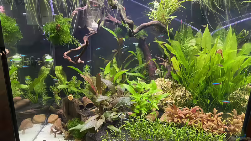 Nach 42 Tagen  von Ottche (2)