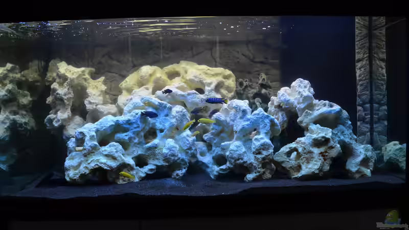 nach 5Wochen von Lordi (3)