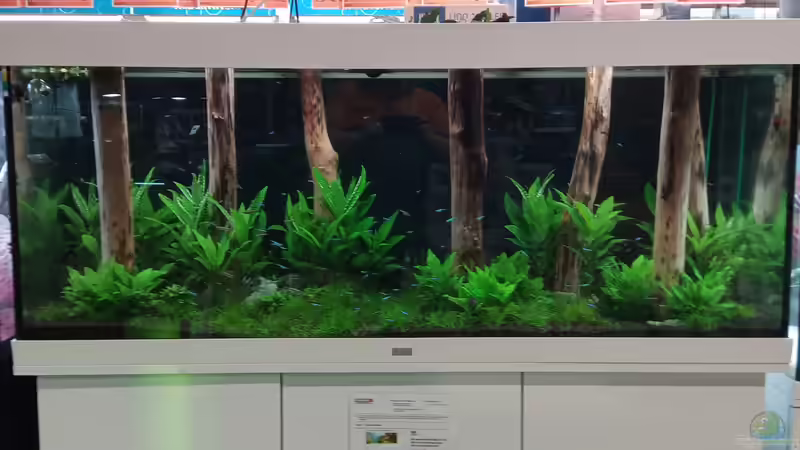 nach 6 Wochen betrieb... von Torsten Bullmahn (1)