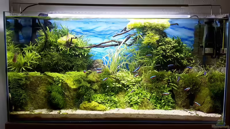 Nach 6 Wochen von Der Nicky (66)