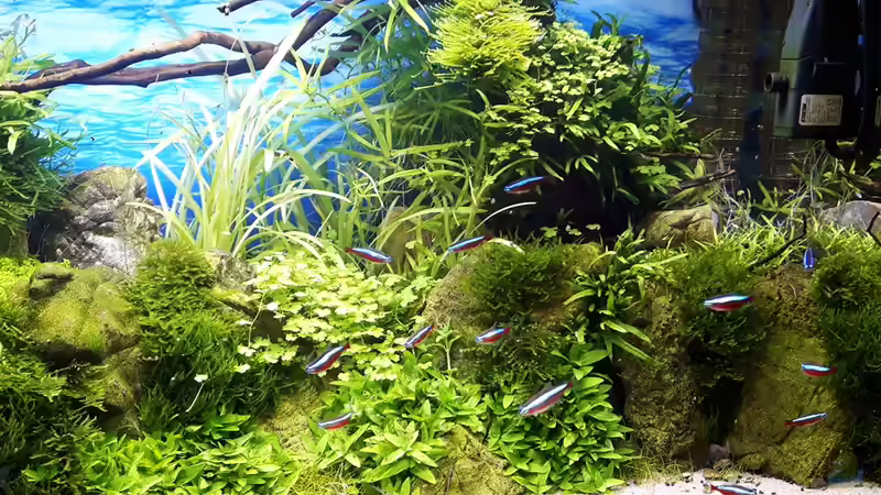 Nach 6 Wochen von Der Nicky (69)