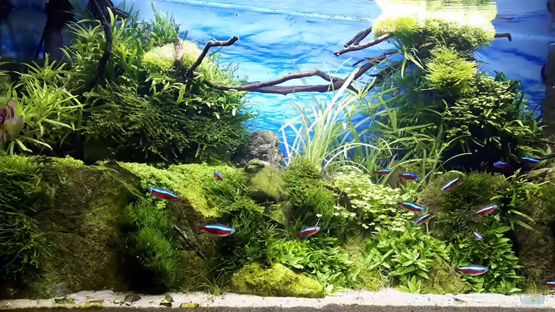 Nach 6 Wochen von Der Nicky (72)