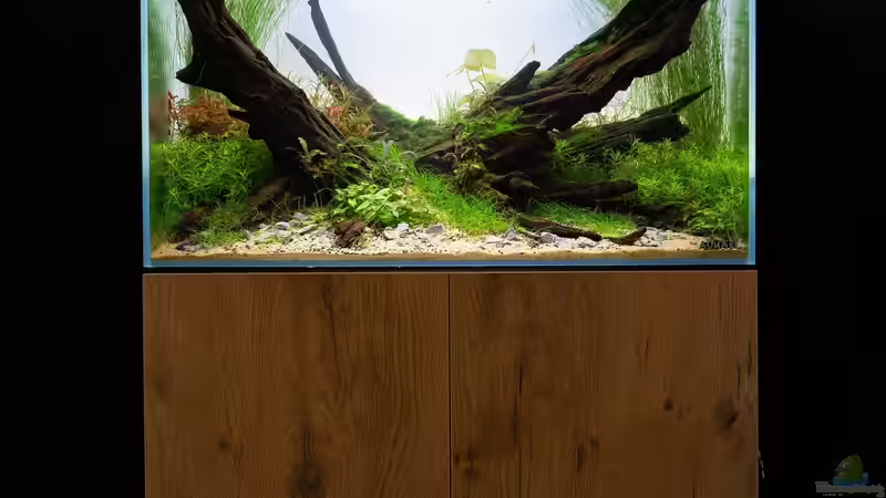 nach 6 Wochen von Fredo Fuss (6)