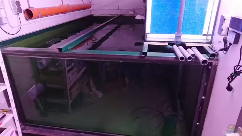 nach 7 Std. endlich voll. Ich kann Feierabend machen. von kellerkind (49)