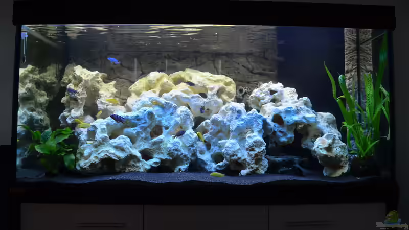 nach 7Wochen von Lordi (4)