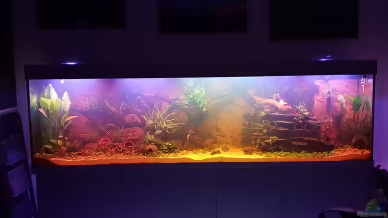 Nach Beleuchtungs Upgrade Abend von Christian Roger Rohrer (7)