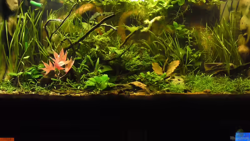 Nach ca. 1 1/2 Jahre von bluestime (12)