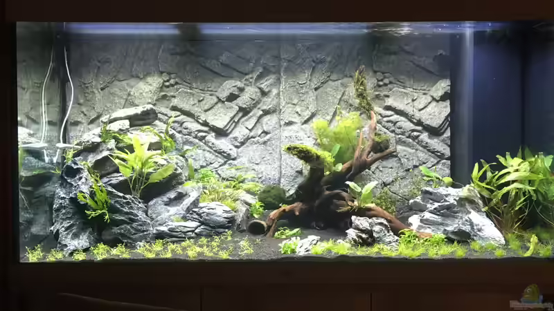 nach ca. 4 Tagen von AchimSaar (47)