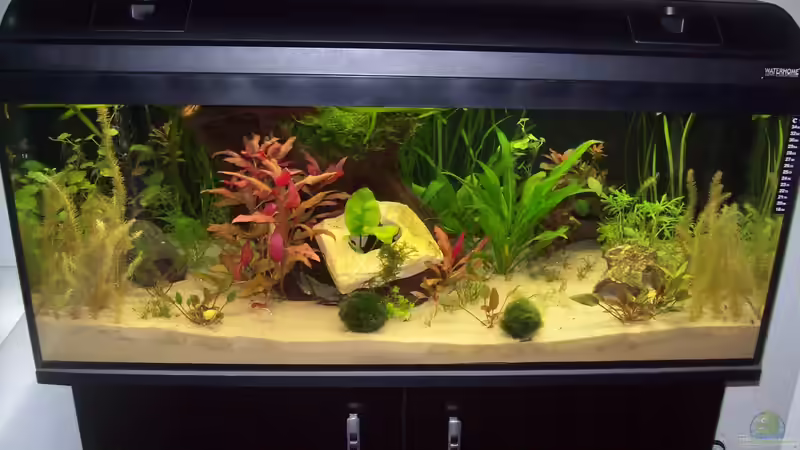 nach ca 3 Wochen Einlaufphase von Lotte und Hendo (3)