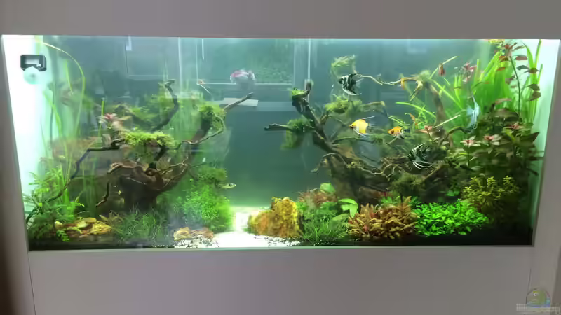 Nach Ca 3 wochen von Der_Renner (4)