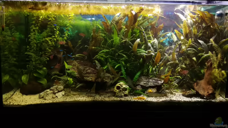 nach Co² Zugabe von Padrona (1)