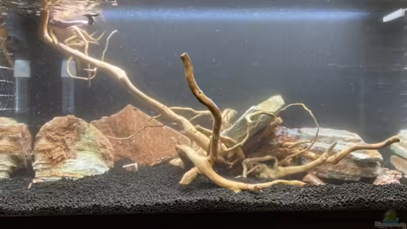 Nach dem befüllen, jetzt erst mal wieder Licht aus. von GJK (6)