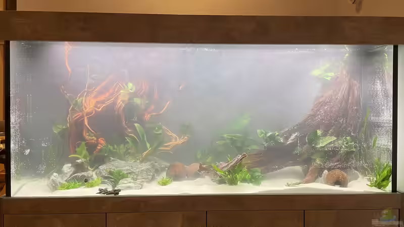 Nach dem Befüllen von Nick Fisher (3)