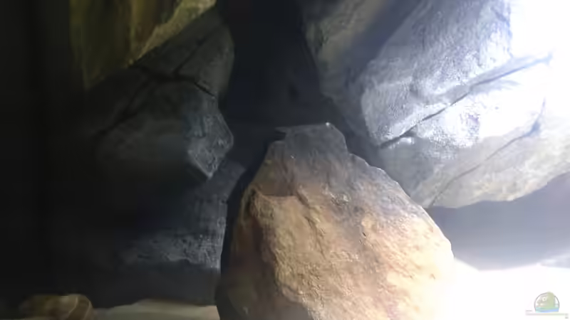 nach dem befüllen von pacho (10)