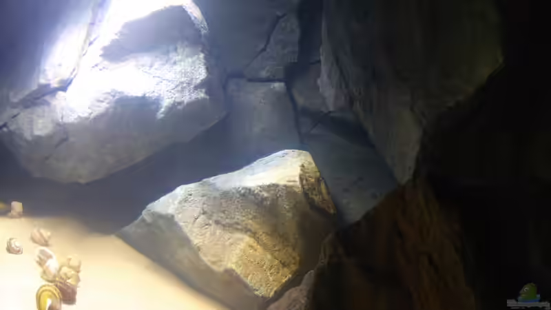 nach dem befüllen von pacho (11)