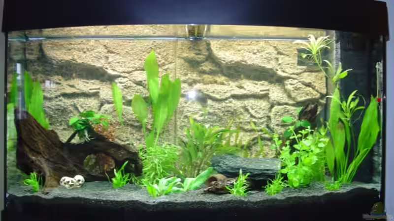 Nach dem einrichten / befüllen von S3Racer (2)