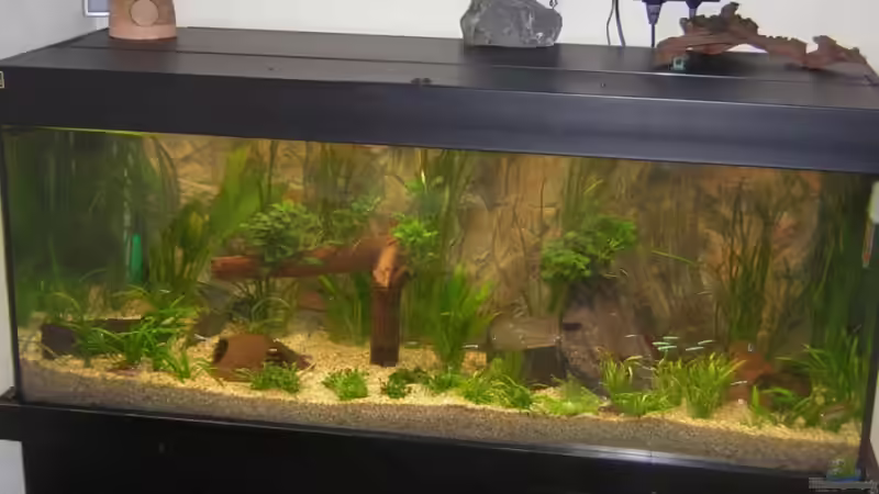 Nach dem Einrichten im Dezember 2006 von Daniel Schad (1)