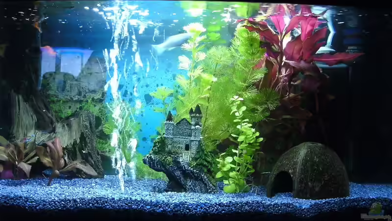 nach dem einrichten von DaVeyD (11)