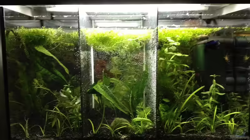 nach dem Einrichten von Jeany (3)