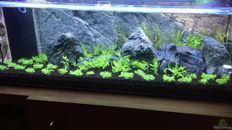 Nach dem einrichten von Olaf R (1)