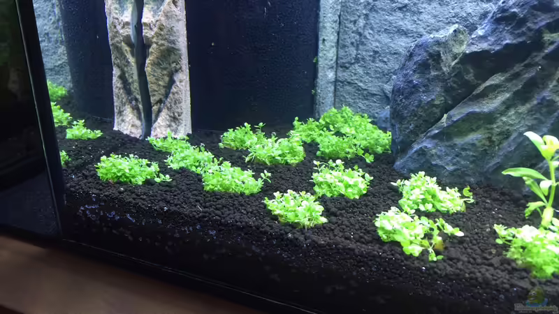 Nach dem einrichten von Olaf R (2)