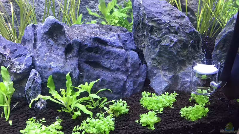 Nach dem einrichten von Olaf R (4)