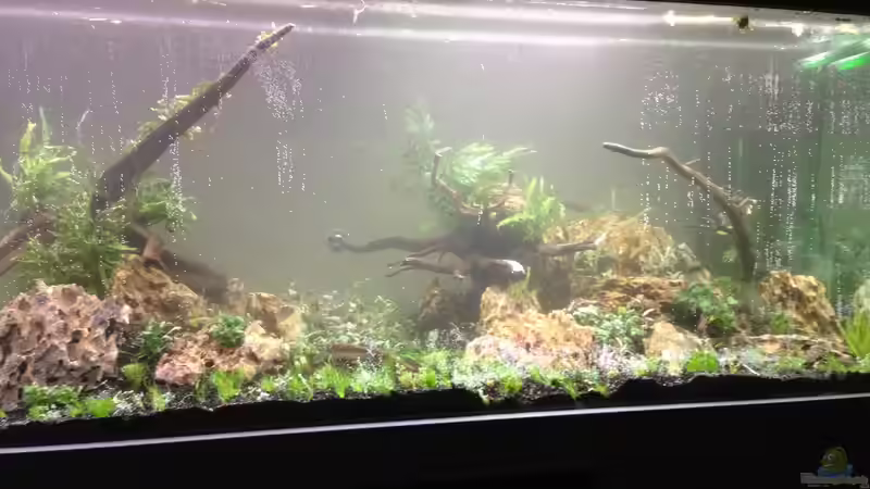 Nach dem Einrichten von Olle696 (2)